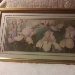 Hummingbirds Iris Flowers Framed Matted Art Print